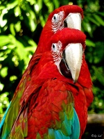 Are you looking at me?!
