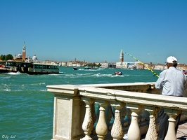 Venezia e La Biennale