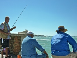 Venezia e La Biennale