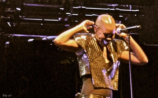 Skunk Anansie