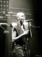 Skunk Anansie