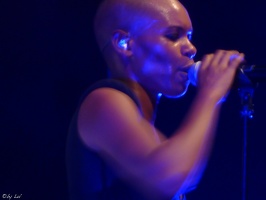 Skunk Anansie