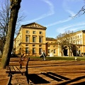 Sunny afternoon - Metz