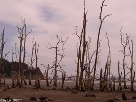 Malaysia discovery