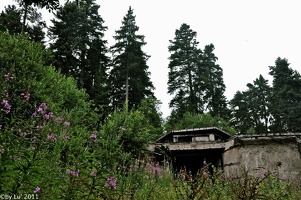 borovets mountain area