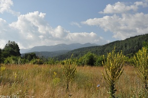 borovets mountain area