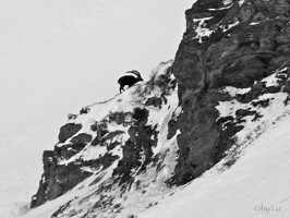Cervinia