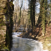 montenach river - wintertime