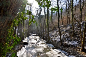 montenach river - wintertime