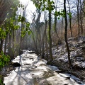montenach river - wintertime