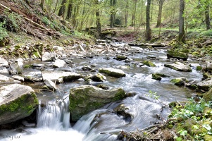 montenach river - springtime