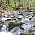 montenach river - springtime