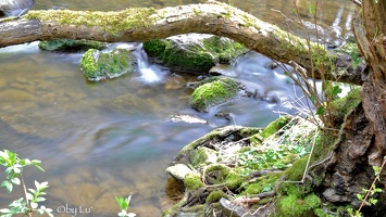 montenach river - springtime