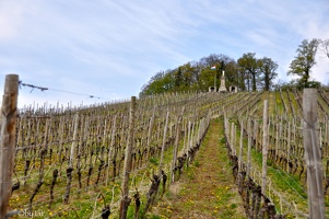 Route du vin - France/Luxembourg
