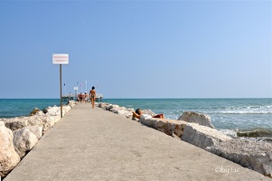 Lido di Venezia - Film festival 2012 