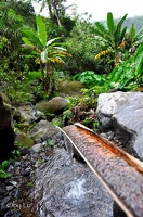 SANTO-ANTAO-Vallee-de-Paul