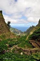 SANTO-ANTAO-Vallee-de-Paul