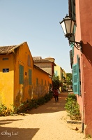 Goree-14