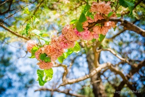 ColorSet-BEIJING-april2015-by-lugdivineUnfer-32