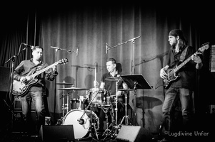 B&W-Kid-Colling-Trio-NeumunsterBrasserie-22052015-by-lugdivineUnfer-4