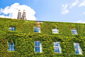 color-dublin2015-by-lugdivine-unfer-235