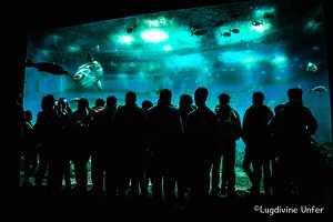 Lisbon-15-19-March2016-by-Lugdivine-Unfer-354