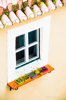 Lisbon-15-19-March2016-by-Lugdivine-Unfer-18