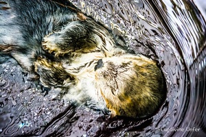 Lisbon-15-19-March2016-by-Lugdivine-Unfer-345