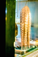 Lisbon-15-19-March2016-by-Lugdivine-Unfer-428