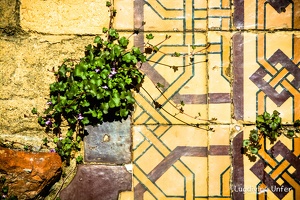 Lisbon-15-19-March2016-by-Lugdivine-Unfer-460