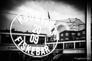Copenhaguen2016-by-Lugdivine-Unfer-43