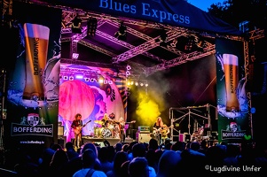 color-Blues-pills-Blues-Express-09072016-Luxembourg-by-Lugdivine-Unfer-38