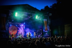 color-Blues-pills-Blues-Express-09072016-Luxembourg-by-Lugdivine-Unfer-57