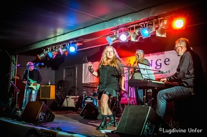 color-TheHeritageBluesCompany-Blues-Express-09072016-Luxembourg-by-Lugdivine-Unfer-94