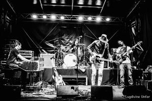 B&W-CarlWyatt-and-TheDeltaVoodooKings-BluesnRockinBeaufort-Luxembourg-13082016-by-Lugdivine-Unfer-498