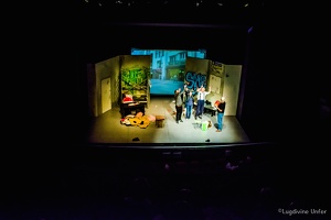Theater-DeiEngAnDeiAner-ESCH-ALZETTE-28022017-by-Lugdivine-Unfer-57