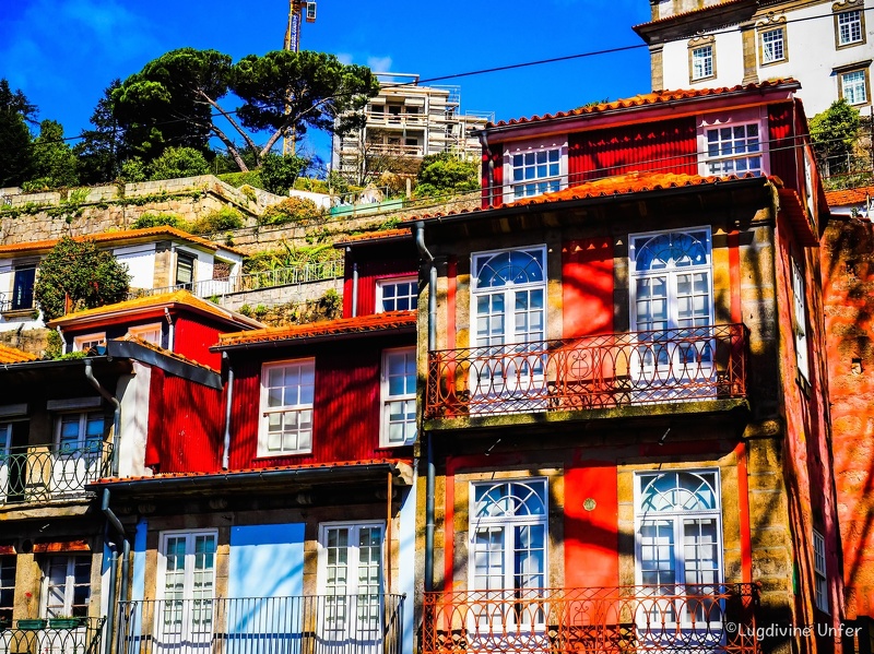 color-Porto2017-by-lugdivineunfer-272.jpg