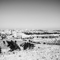 Travel-Israel-May2017-by-Lugdivine-Unfer-121