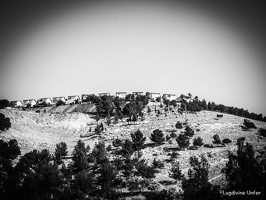 Travel-Israel-May2017-by-Lugdivine-Unfer-240