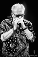 JeanJacques-Milteau-112-Terville-FR-02062017-by-Lugdivine-Unfer-19
