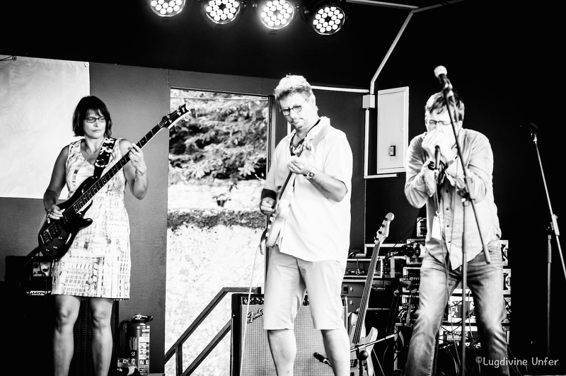 Blues-Schoul-Blues-Express2017-Lasauvage-Luxembourg-by-Lugdivine-Unfer-5.jpg
