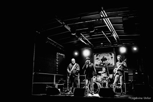 Regeneade-Dukes-Blues-Express2017-Lasauvage-Luxembourg-by-Lugdivine-Unfer-10