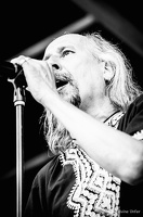 The-Backscratchers-Blues-Express2017-Lasauvage-Luxembourg-by-Lugdivine-Unfer-2