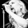 The-Backscratchers-Blues-Express2017-Lasauvage-Luxembourg-by-Lugdivine-Unfer-2