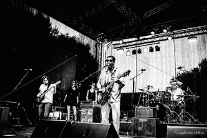 Kid-Colling-Blues-Express2017-Lasauvage-Luxembourg-by-Lugdivine-Unfer-67