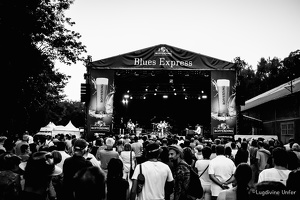 Kid-Colling-Blues-Express2017-Lasauvage-Luxembourg-by-Lugdivine-Unfer-78