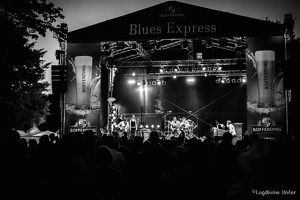 Kid-Colling-Blues-Express2017-Lasauvage-Luxembourg-by-Lugdivine-Unfer-90