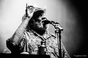 Taj-Mo-Blues-Express2017-Lasauvage-Luxembourg-by-Lugdivine-Unfer-1