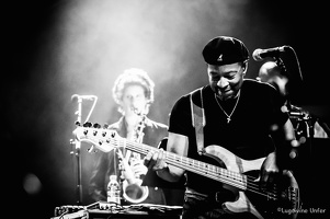 Taj-Mo-Blues-Express2017-Lasauvage-Luxembourg-by-Lugdivine-Unfer-10