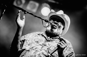 Taj-Mo-Blues-Express2017-Lasauvage-Luxembourg-by-Lugdivine-Unfer-53